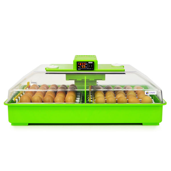 Hobby Egg Incubators