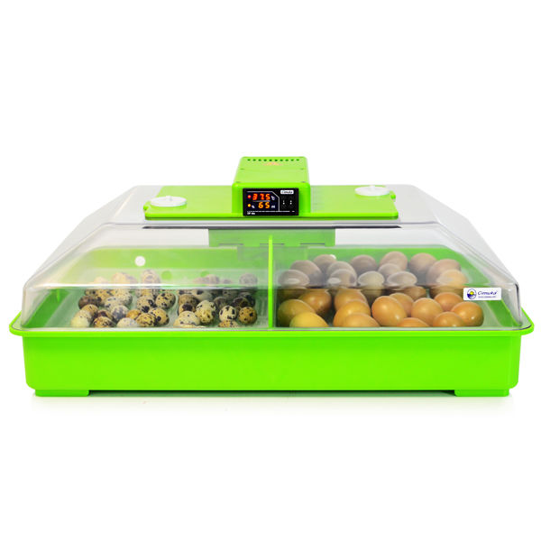 Kuluçka Makinesi - PD60 H