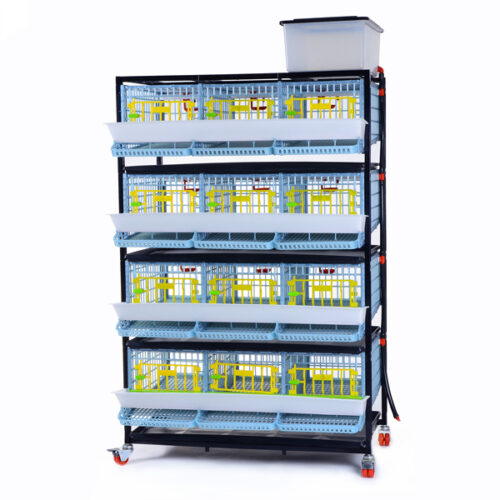 Bıldırcın Kafesi 3 Gözlü / 4 Katlı