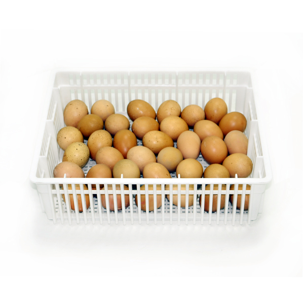 Kuluçka Çıkım Sepeti - CS35-Y (kapaksız)