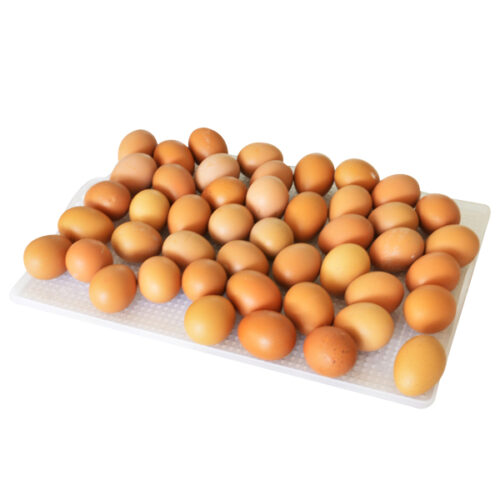 Kuluçka Çıkım Altlığı - CS40