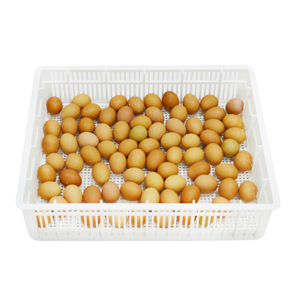 Kuluçka Çıkım Sepeti - CS80-Y (kapaksız)