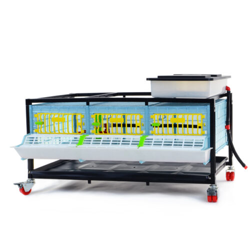 Besi Kafesi GL25 - 03 / 1 Katlı