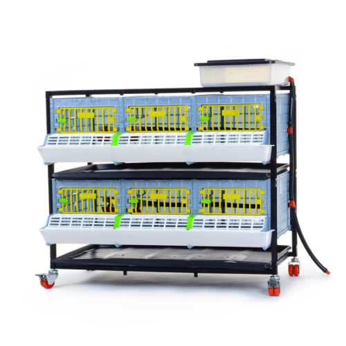 Besi Kafesi GL25 - 03 / 2 Katlı