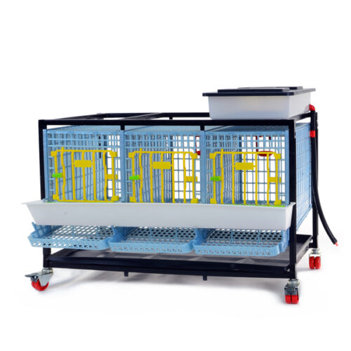 Tavuk Kafesi - 3 gözlü / 1 Katlı