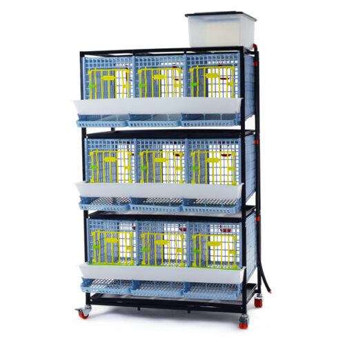 Keklik Kafesi - 3 gözlü / 3 katlı