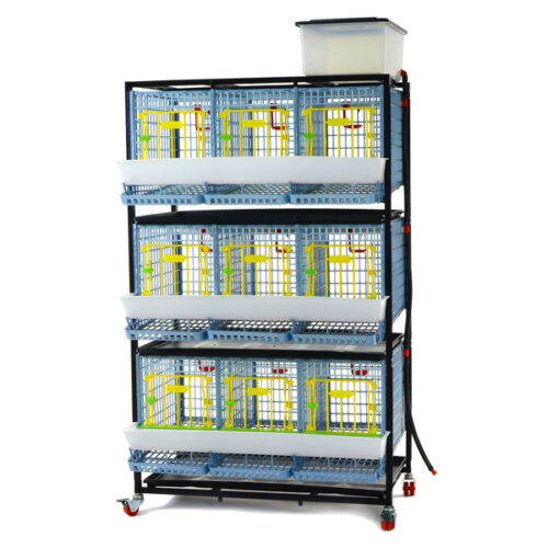 Tavuk Kafesi - 3 gözlü / 3 Katlı