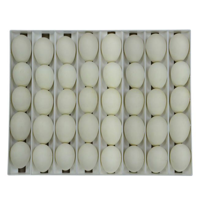 Kaz / Karışık Kuluçka Tablası - TR40