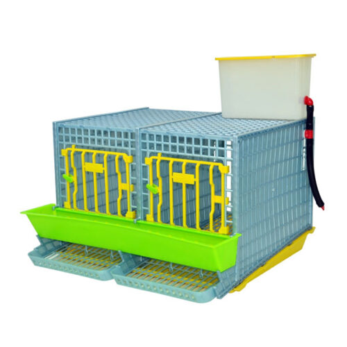 Keklik Kafesi - MİDİ