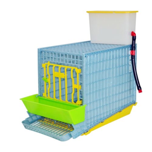 Keklik Kafesi - MİNİ