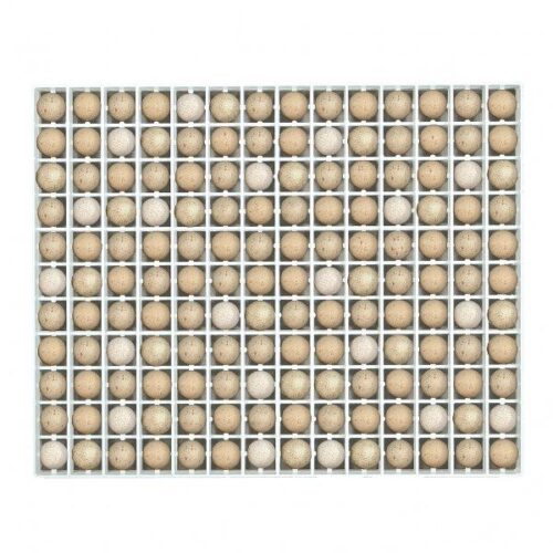 Keklik Kuluçka Tablası - TR154