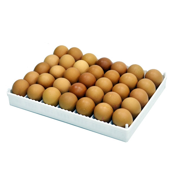 Kuluçka Tablası - Flexy 35