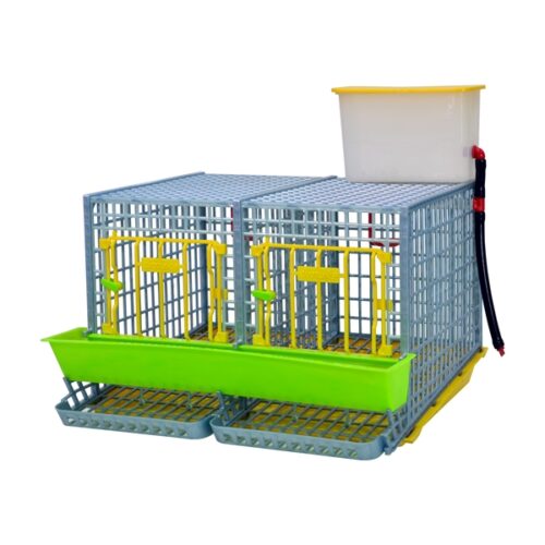 Tavuk Kafesi - MİDİ